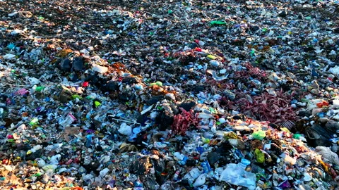 Landfill with garbage disposal. Stock Footage 219866804