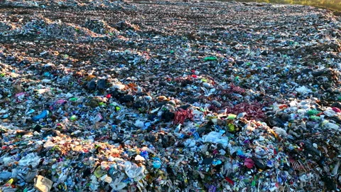 Landfill with garbage disposal. Stock Footage 219866933