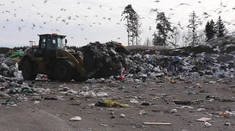 Landfill, garbage truck loading 스톡 동영상 61829693