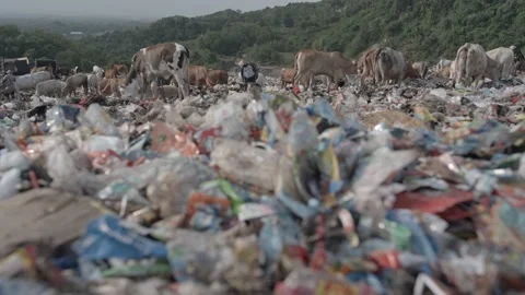 Landfill plastic on forground and background trash collector Stock Footage 202179501