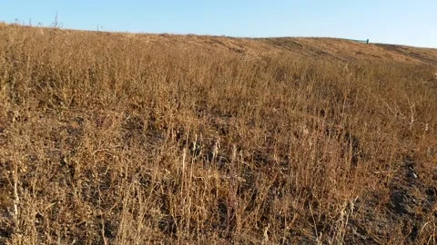 Landfill reclamation. Stock Footage 165343523