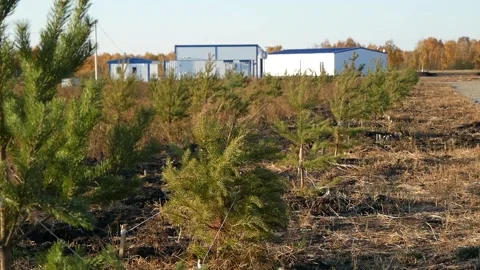 Landfill reclamation. Stock Footage 165343679