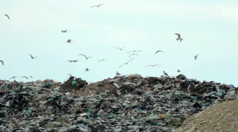 A landfill site 2 動画素材 51370382