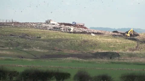Landfill site in action Video stock 10719522