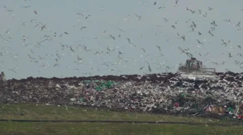 Landfill site in action Video stock 10719588