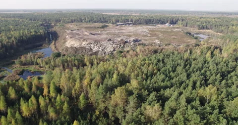 Landfill of solid household waste in the forest. Video stock 164706551