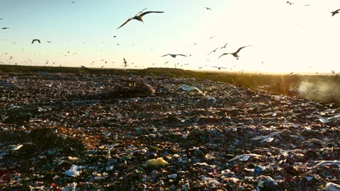 Landfill with solid household waste. Garbage dump with plastic and polyethylene. Vidéo 219833552