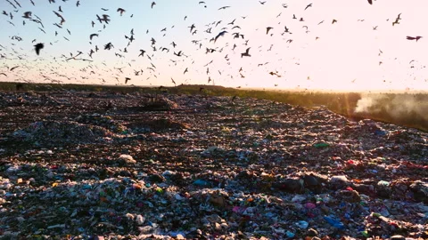 Landfill with solid household waste. Garbage dump with plastic and polyethylene. Vidéo 219833888
