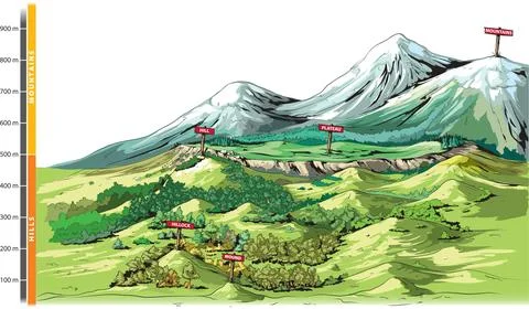 Landforms Elevation Diagram Stock Illustration