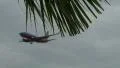 Landing Airliner Flys Pass Trees HD Footage
