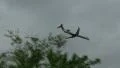 Landing Airliner Flys Pass Trees HD Footage