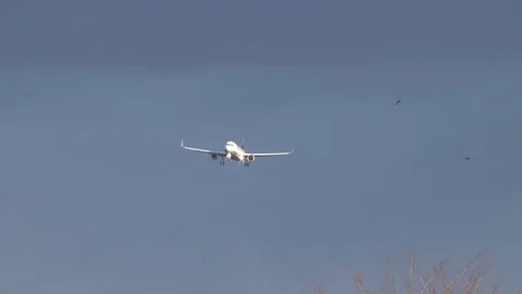 Landing approach in strong wind Vidéo 84041146