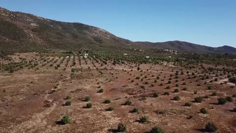 Landing on baja ground Video stock 139603248