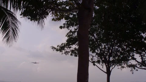Landing big plane cargo Stock Footage 104110475