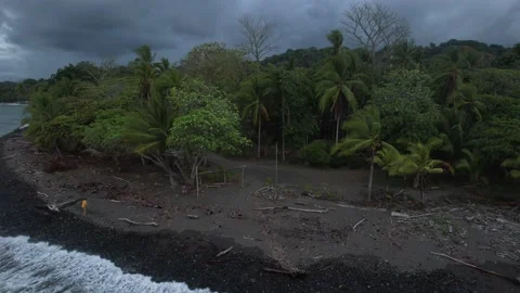 Landing a drone through trees Stock Footage 234723820