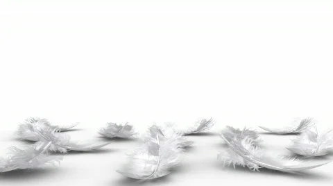 Landing feathers on white surface.  Stock Footage 874494