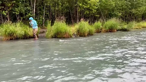 Landing Fish Video stock 141276237