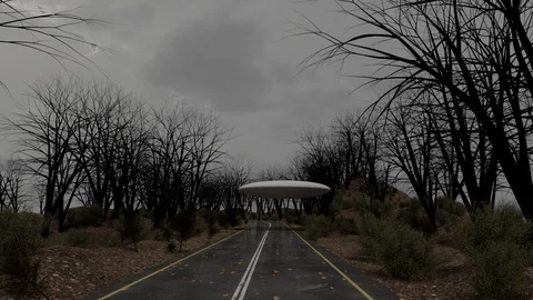 Landing Stock Footage 119940556