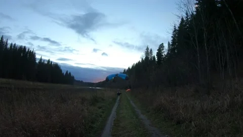 Landing in the forest Stock Footage 163702959