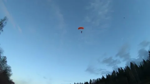 Landing in the forest 스톡 동영상 163702970