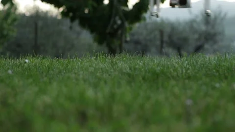 Landing on the grass of the Dji Phantom 3 quadrocopter drone Stock-Footage 130450835