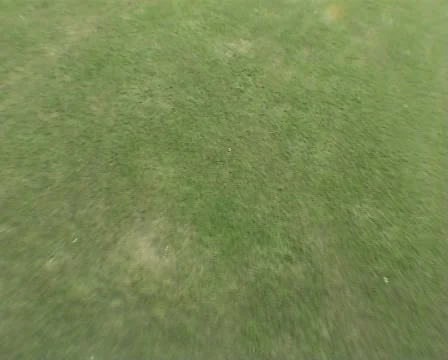 Landing on the grass Stock Footage 42711901