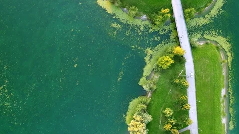 Landing on a lake Stock Footage 95197402