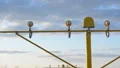 Landing of a large aircraft at the airport HD Footage