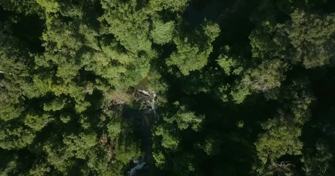 Landing on a mountain river running between rocks in forest in early sunlight Stock Footage 111301543