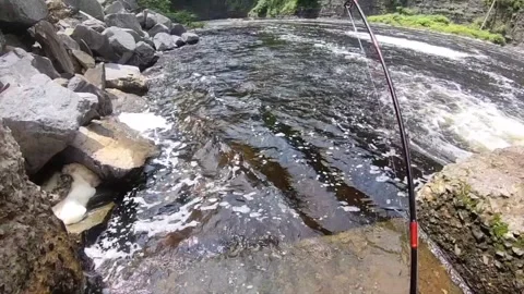 Landing nice brown 1 Stock-Footage 336030775