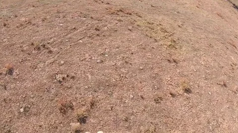 Landing of the Paratrooper on Earth, Gopro Video stock 120732353