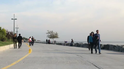 Landing on the pedestrian path Stock-Footage 61556479