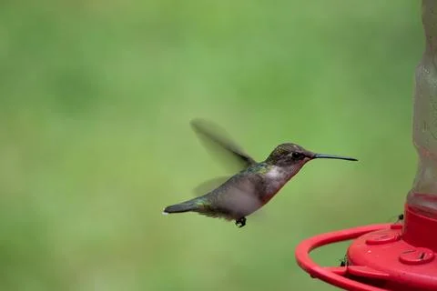 Landing Stock Photos