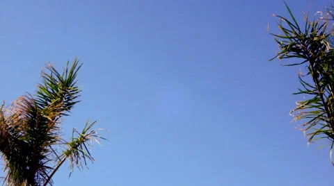 Landing Plane 2 Stock Footage 41454935