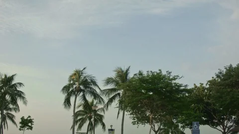 Landing plane 4k 스톡 동영상 104110985