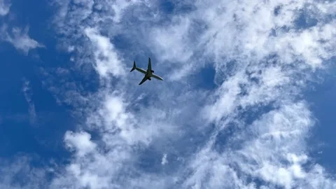 Landing the plane. Video stock 194411877