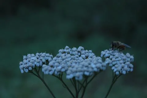 Landing platform Stock Photos