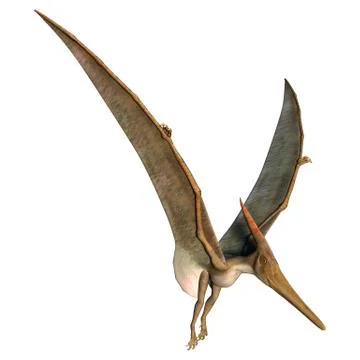 Landing pteranodon Stock Illustration