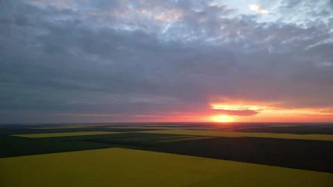 Landing in Rape Field from Dramatic Sunset Vidéo 289670290