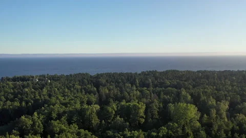 Landing in the thick of the forest. Video stock 148180376