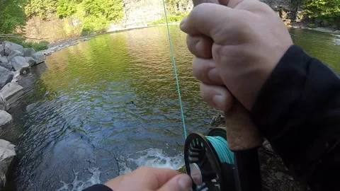 Landing trough fish Stock-Footage 336030990