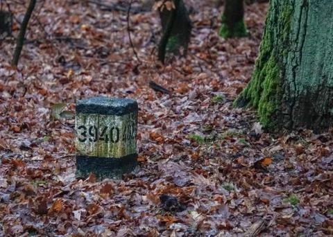 Landmark in a forest Stockfoto's