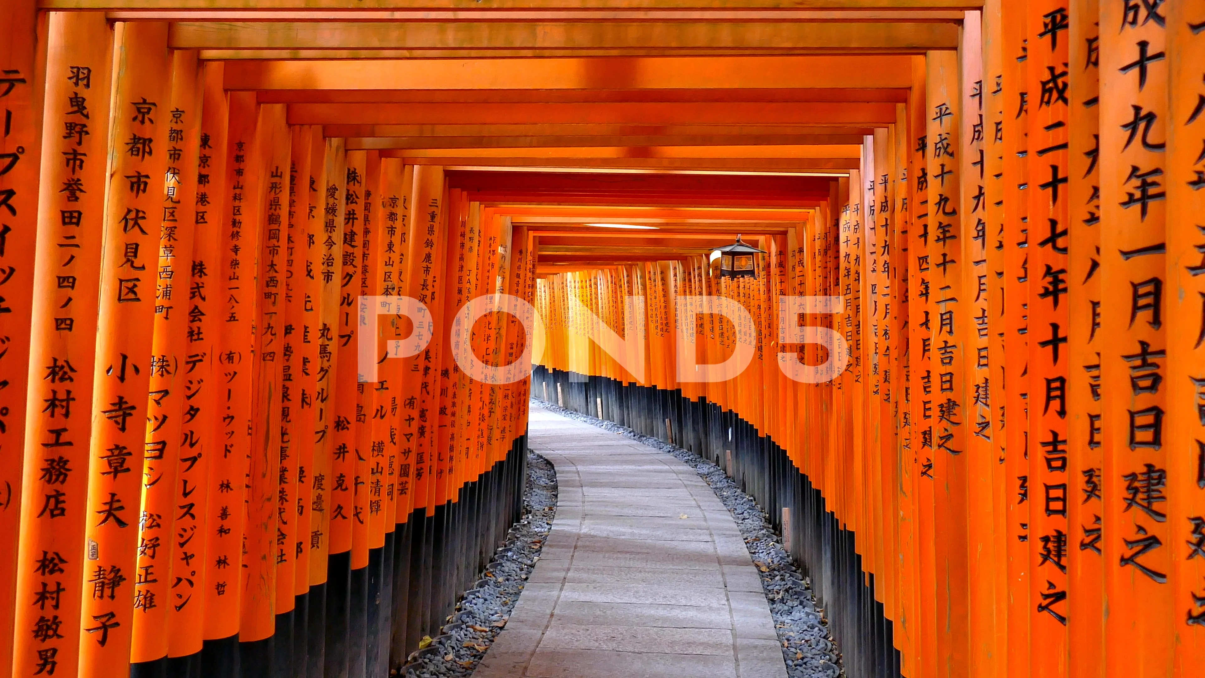 Landmark Orange Torii Gates Fushimi Inar Stock Video Pond5