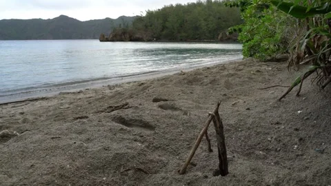 Landmarks of the Green Sea Turtle Nesting Site: Three Branches in Ogasawara Stock Footage 332766436