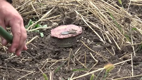 Landmine Detection and Clearance Operation in Field Stock Footage 322222199