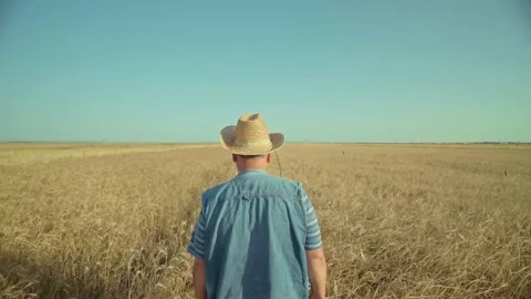 Landowner. Farmer walking down the wheat field. View from the back. Stockbeeldmateriaal 149241702