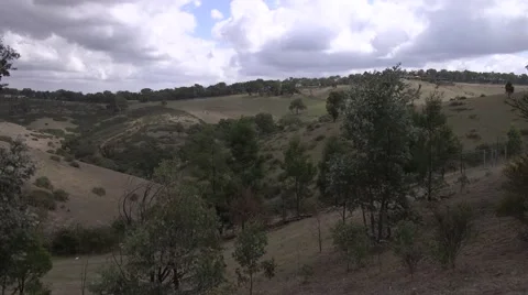 Landsacpe of rolling hills Stock Footage 61509610