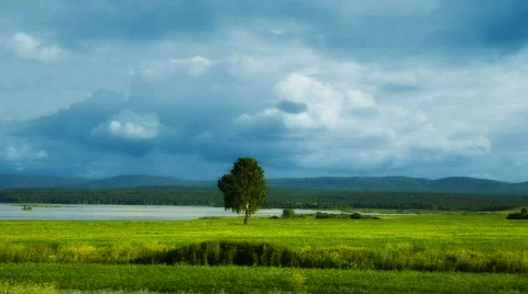 Landscape 1 Stock Footage 451679