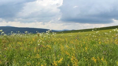 Landscape 1 Stock Footage 7740720