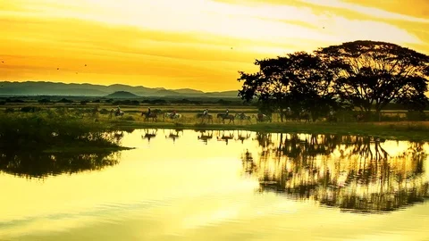 Landscape 1 Stock Footage 74873149